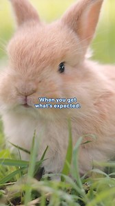 No need to run, GEICO's got enough quotes for everyone. | GEICO