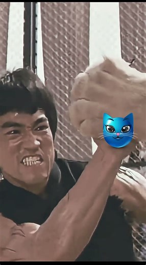 bruce lee e bufalo contra leão #shorts #selvagem