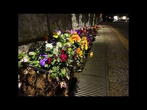 夜のタンゴ ♪小夜更けて懐かしのタンゴ 門田ゆたか訳詞・Hans Otto Borgmann作曲・TetsuTakaharaピアノ編曲
