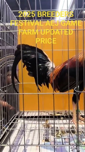 2025 BREEDERS FESTIVAL AEJ GAME FARM UPDATED PRICE