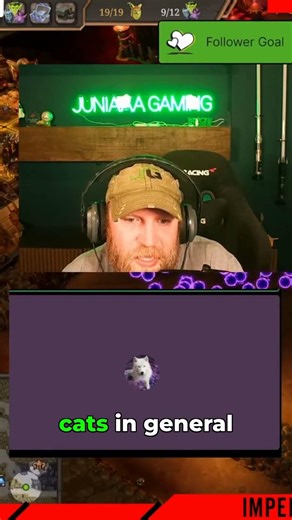 cats are annoying except Donut #streamlife #relatable #shorts