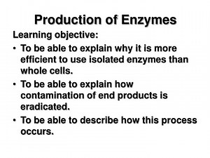 Production of Enzymes - SlideServe