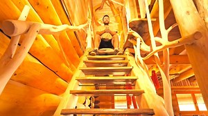 302K views · 4.8K reactions | Off Grid LOG CABIN Build Installing the WINDOWS changed Everything (S3 Ep11) | Alex Bushcraft | Facebook