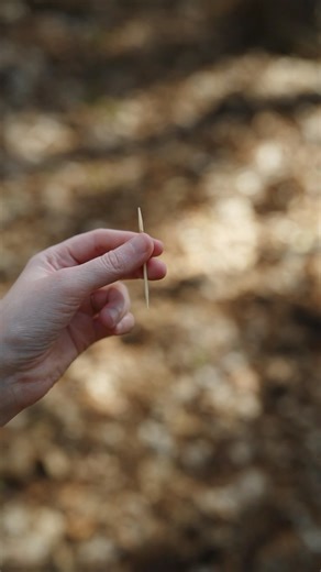 Toothpick Vanish ✨ #magic | Ekaterina