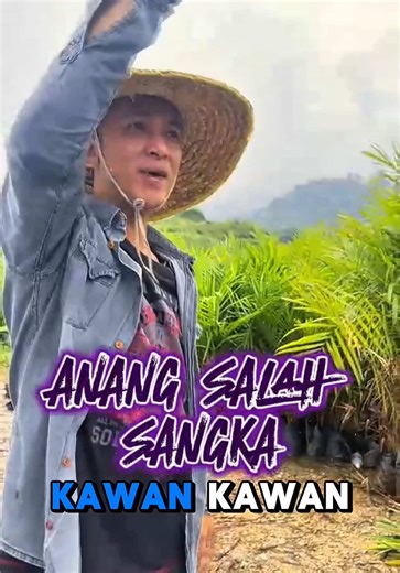 Mitsubishi Triton Single Cab Review and Experience