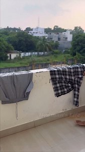 479K views · 7.8K reactions | I lost my clothes because of 2 culprits  ‘@#doglover #dog #puppylove #puppy #reelsinstagram #reelitfeelit❤ | Yerna Prashanth | Facebook