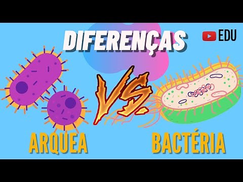 Archaea and Bacteria - Differences | Animation