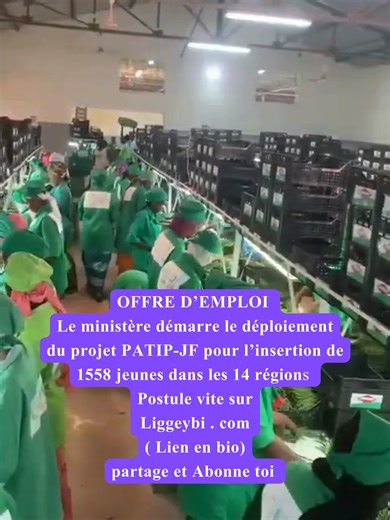 Le ministère démarre le déploiement du projet PATIP-JF pour l’insertion de 1558 jeunes Les dépôts sont ouverts #emploisenegal #recrutementdakar #dakaremploi #liggeybi #trouverunemploisenegal
