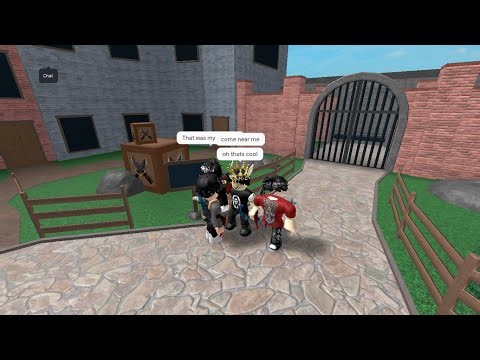 mm2 livestream with any viewer that joins the stream