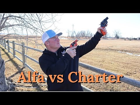 Best Starter Pistol Review - Alfa vs. Charter