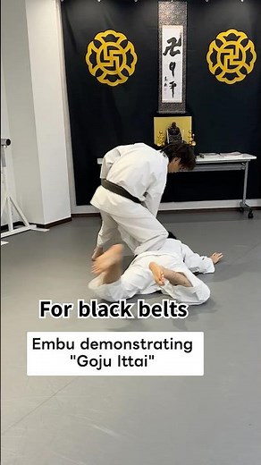 Example of Embu Creation for Beginners. (Shorinji Kempo techniques)