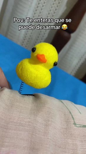 añañin 😂 #parati #fyp #patito #videoviral #viral #soyañañinnn😎😎 #humor #argentina