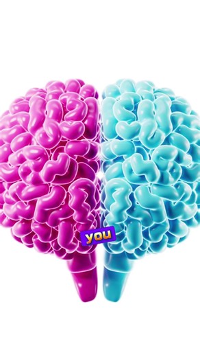 What are alpha brain waves