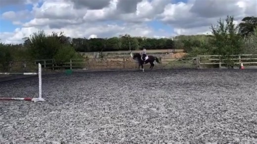 Lily's Misadventures with Vegas the Queen | Funny Equestrian Fails