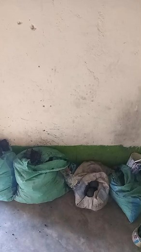 Respect your hustle and pray God to bless your hardwork  that's the game #tingwa #lifestyle Man Tingwa | Man Tingwa | Facebook