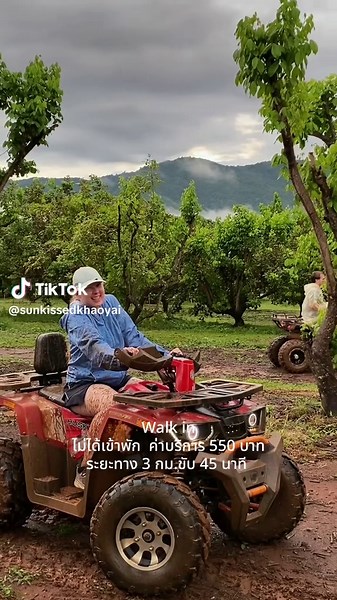 ค่าบริการสำหรับผู้เข้าพัก • คันใหญ่ 500 บาท ผู้ใหญ่นั่ง 2 ท่าน ค่าบริการสำหรับผู้ไม่ได้เข้าพัก • คันใหญ่ 550 บาท ผู้ใหญ่นั่ง 2 ท่าน ระยะทาง 3 กิโลขับ 45 นาที มีเจ้าหน้าที่นำทางให้ 1 รอบ มัดจำการจองคันละ 100 บาท ติดต่อสอบถามหรือนัดรับรถได้ที่ 098-738-1328 , 080-985-8617 ชื่อบัญชี : ATV SUNKISSED #atv#atva#khaoyaiา#เขาใหญ่่#ที่พักเขาใหญ่ี่ยวเขาใหญ่