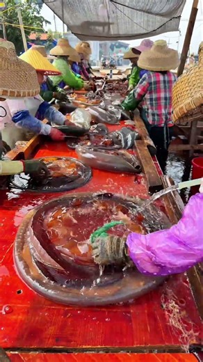 INCREDIBLE Factory Process: From Ocean To Automatic Cleaning🪼