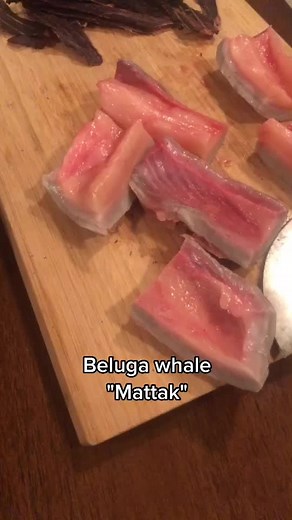 Exploring Indigenous Inuit Culture Through Traditional Foods