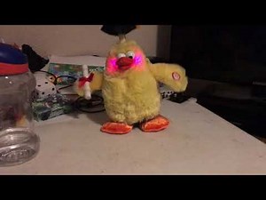 Dan Dee animated graduation chicken