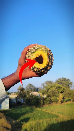 Sodium metal vs fruits #sodium #mrgarhwaexperiment #experiment