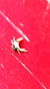 #godzillakingofthemonsters #godzillavskongroar #godzillaxkongthenewem... | Glenn Moon