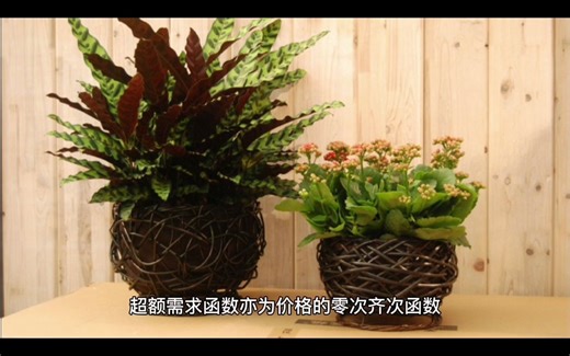 一分钟经济学——瓦尔拉斯定律