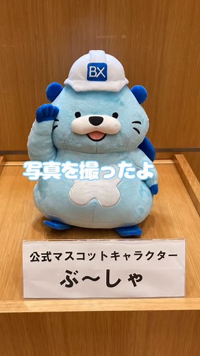 文化シヤッター【公式】｜シャッターだけじゃない。文化シヤッター on Instagram: "マスコットキャラクター「ぶ〜しゃ」が活躍するシーンを沢山撮ったよ📸 文化シヤッターでは70周年を機にマスコットキャラクター「ぶ〜しゃ」を制作しました🦫 どうぞ皆さん可愛いがってください✨ #文化シヤッター #シャッター #マスコットキャラクター #キャラクター #マスコット #写真 #就職 #就活 #就職活動"