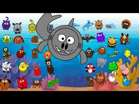 Learning Animal Sounds | Fun Nursery Rhymes & Children's Songs 🐱|Emdikidstv
