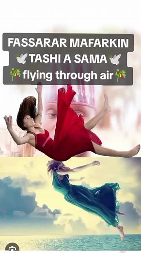 Exploring the Art of Aerial Acrobatics