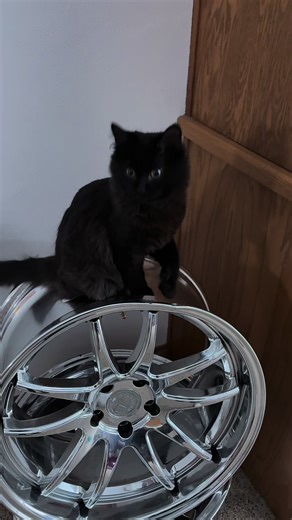 Turbo vs Bent Rim: A Car Enthusiast's Dilemma