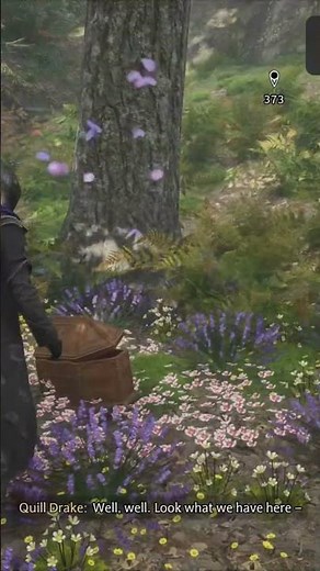 Hogwarts Legacy Achievements (Followed the Butterflies)#hogwartslegacy