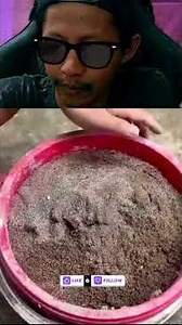 Unbelievable Creativity! From Wooden Pallets to Unique Frames!