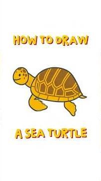 How to Draw a Sea Turtle | Watch New Lesson 🐢 #drawandsing #seaturtledrawing
