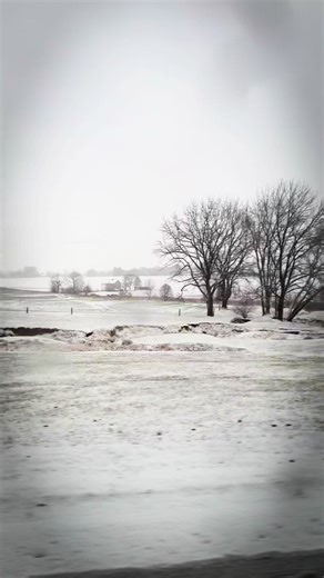 A true snow day here in PA!