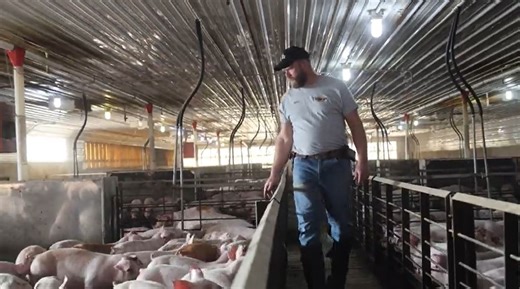 Indiana Pork Farmers on Instagram: "Brian Homan is proud to have his kids involved on the family farm in Pennville, IN. That’s the story of Indiana pork—family farms rooted in tradition, commitment, and a labor of love that spans generations. #indianapork #farmlife"