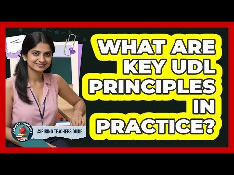 What Are Key UDL Principles In Practice?