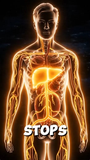 Inside the Liver – The Silent Hero of Your Body ⚙️ #shorts