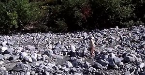 Gold Diggers The Secret of Bear Mountain 1995  FLAiR    Part 02