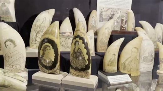 Scrimshaw at the New Bedford Whaling Museum