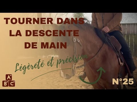 ⭐ Turning your horse on the down stroke – finesse and shoulder control ⭐