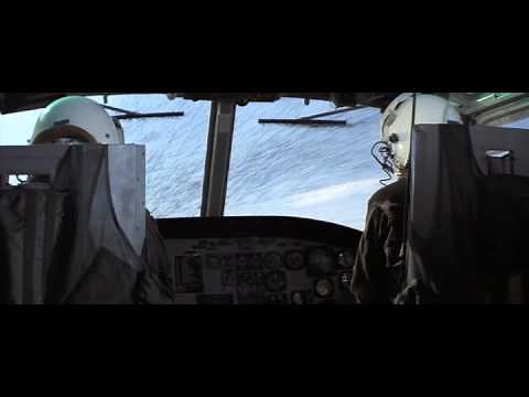 "Bees! bees! millions of bees!" (The Swarm, 1978)