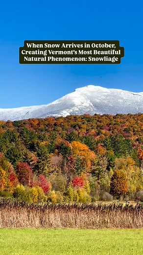 Snow fell for the first time this season on Smugglers’ Notch last night! 💫Vermont’s most beautiful natural phenomenon has to be snowliage: that rare moment when foliage and the first snowfall collide, leading to nature’s most stunning display. 🍁❄️ Snowliage is rare because the timing has to line up perfectly… the leaves can’t have dropped yet, but the temperature has to dip just enough for snow. What you get is this wild in-between season where the mountains are half fall, half winter: the tre