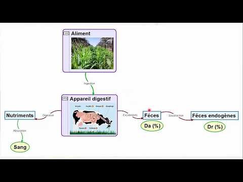 Cours agronomie 2 : Alimentation animale