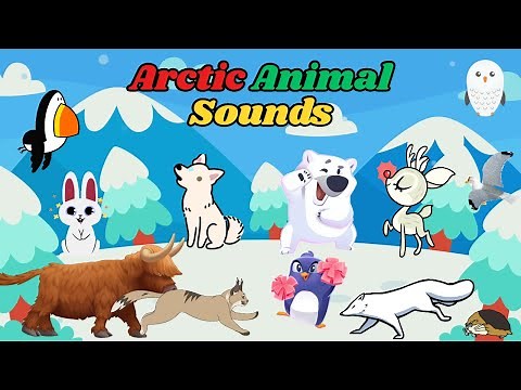 Arctic Animal Sounds Song | Fun Animal Sounds for Kids | Learn with Music