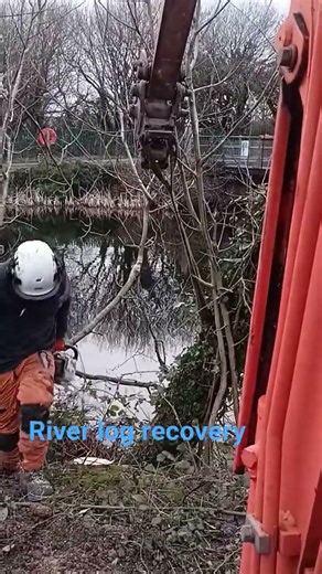 Excavator Lifting Logs from a River | Recovery Work