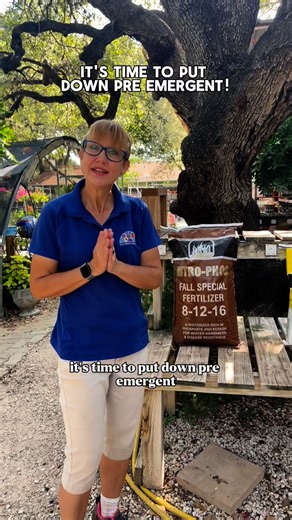 7.9K views · 280 reactions | Stop weeds before they even start! Pre-emergent herbicides create a protective barrier in the soil that prevents weed seeds from sprouting. Applying pre-emergent at the right time means fewer weeds competing with your lawn, shrubs, and garden beds for nutrients, water, and sunlight. Preventing weeds early not only saves you hours of pulling later but also helps your landscape stay healthier and more beautiful all season long!  | Rainbow Gardens | Facebook