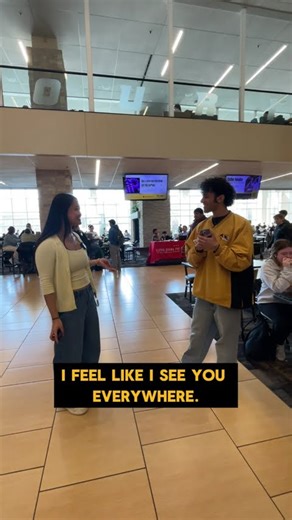 Stellic is a new tool to help #Mizzou students plan, search and register for classes.