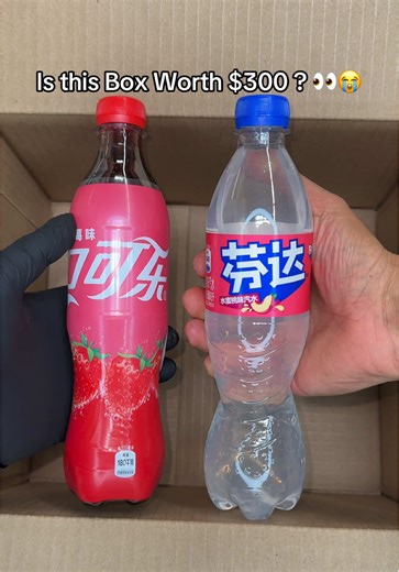 Mystery Snack Box Review: Is It Worth $300?