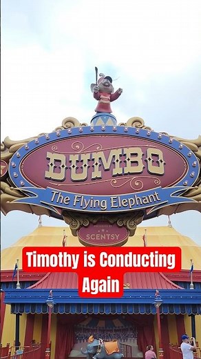 Timothy Q. Mouse at Dumbo the Flying Elephant 🐘 in Disney's Magic Kingdom #shorts #disney #dumbo