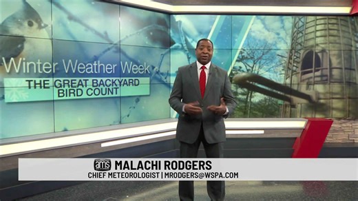 Winter weather week: The Great Backyard Bird Count